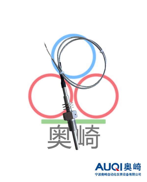 特殊电偶