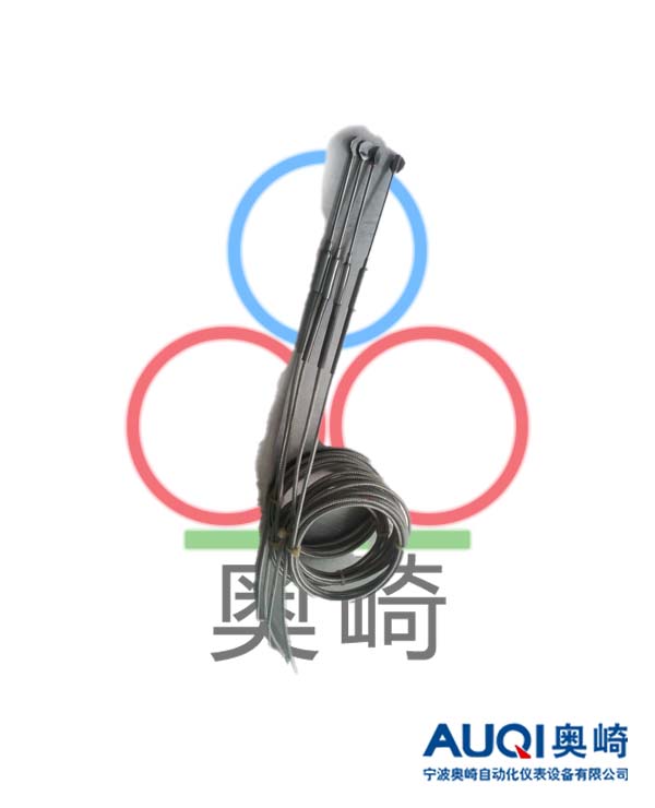 特殊电偶