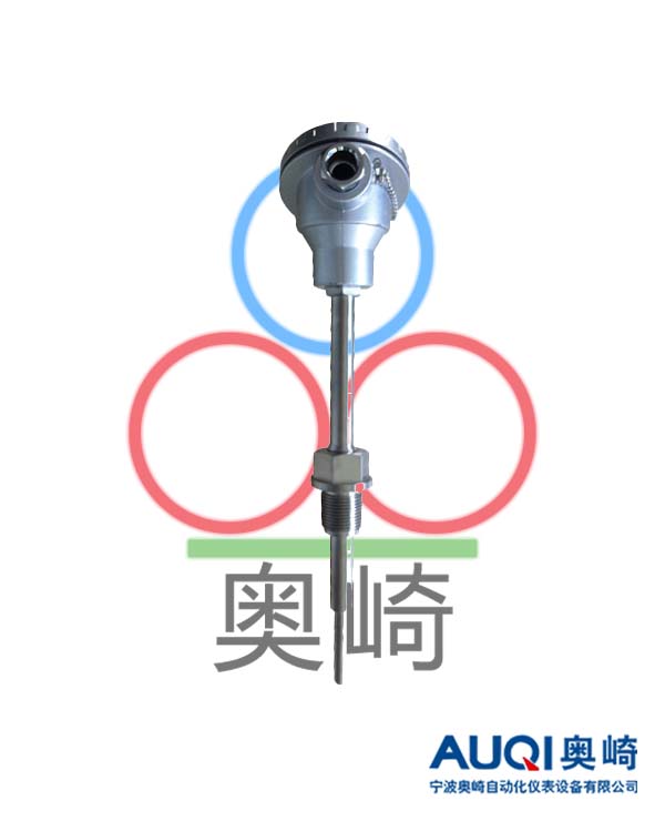 Oil immersed thermocouple